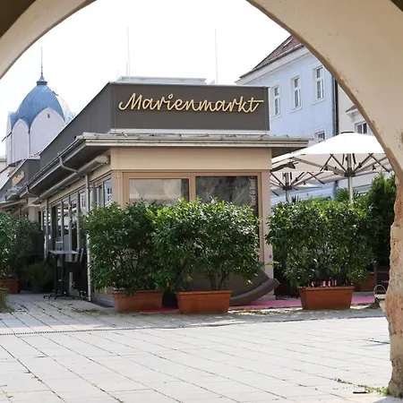Ea-Modernes Studio Naehe Hauptplatz Wiener Neustadt Extérieur photo